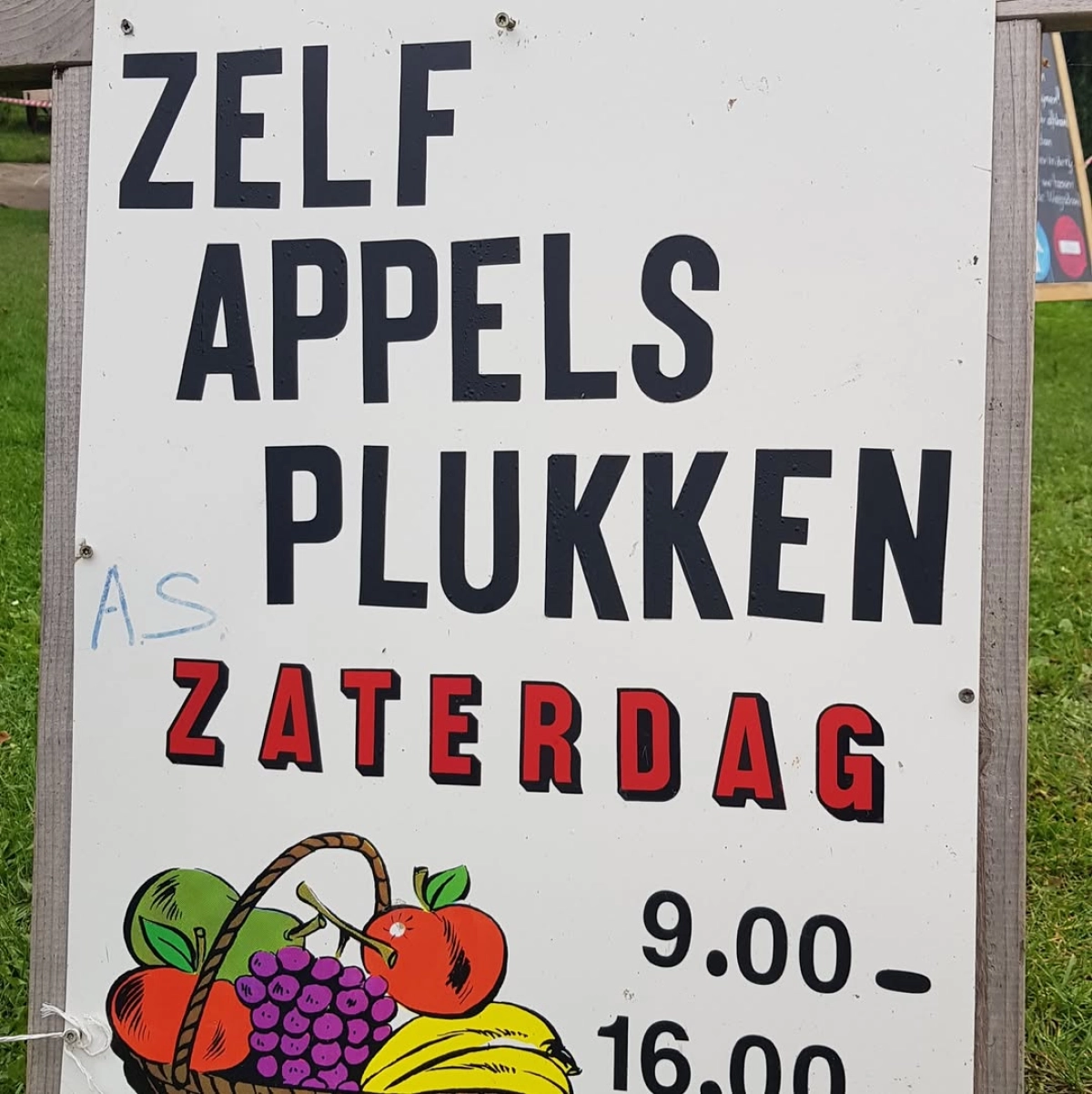 Apple Picking Days at Fruit Farm Bosschaart